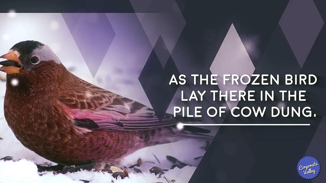 The Freezing Bird Story - Motivational Story for Self Development