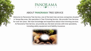 Get affordable Tree Removal Services