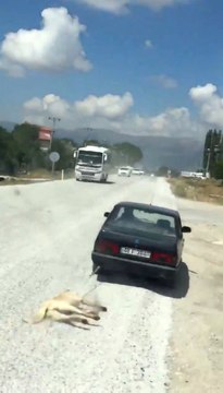Otomobilin Arkasına Bağladığı Köpeği Sürükleyen Vicdansız Adam Yakalandı