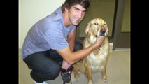 Olympic Swimmer Michael Phelps Brings His Dog to The Barkley Pet Hotel & Day Spa