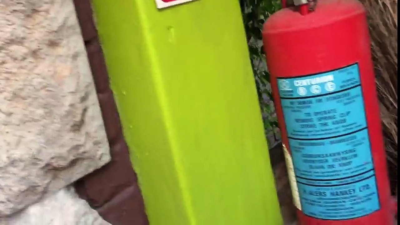 Tiger attack , why You should not turn Your back!