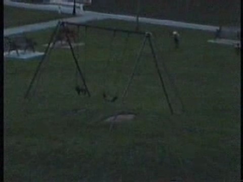 Balançoire qui bouge toute seule