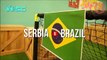 Serbia vs Brazil | World Cup 2018 Group E | Cute Animal Prediction