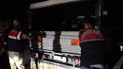 Kaçak Sigaraları Koyunların Arasına Gizlemişler - Van