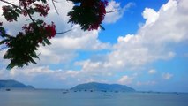 Côn Đảo Hoang sơ và Quyến rũ (6-2018) - Du lịch Côn Đảo - Ohman.vn