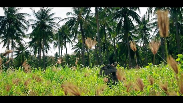 Du lịch xe máy đi từ Nha Trang đến Bình Hưng - Du lịch Nha Trang Bình Hưng - Ohman.vn