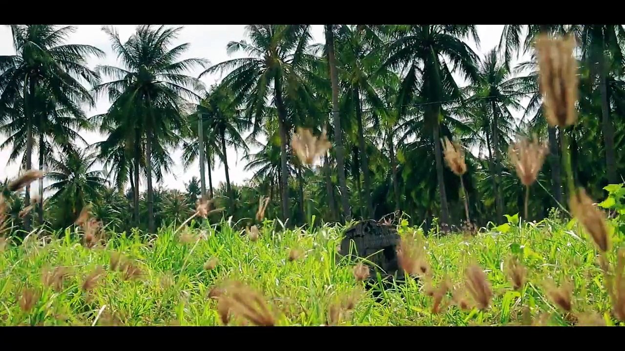 Du lịch xe máy đi từ Nha Trang đến Bình Hưng - Du lịch Nha Trang Bình Hưng - Ohman.vn