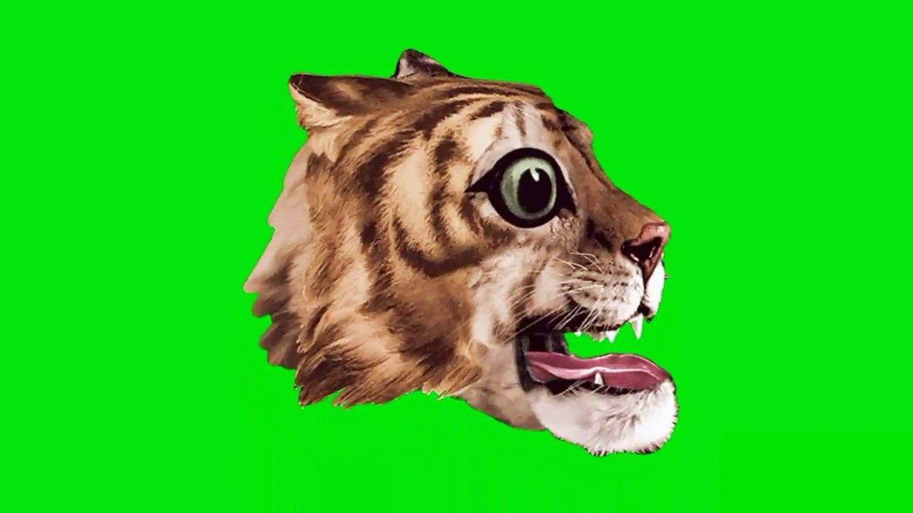 Tiger green screen effect. An incredible effect that MUST WATCH by everyone