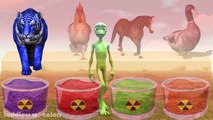 Learn Colors Animals with Magic Liquids & Learn Animals Name Alien Dance Dame Tu Costa Son