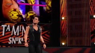 WWE 2K15 Nikki Bella vs Summer Rae vs Natalya vs Tamina