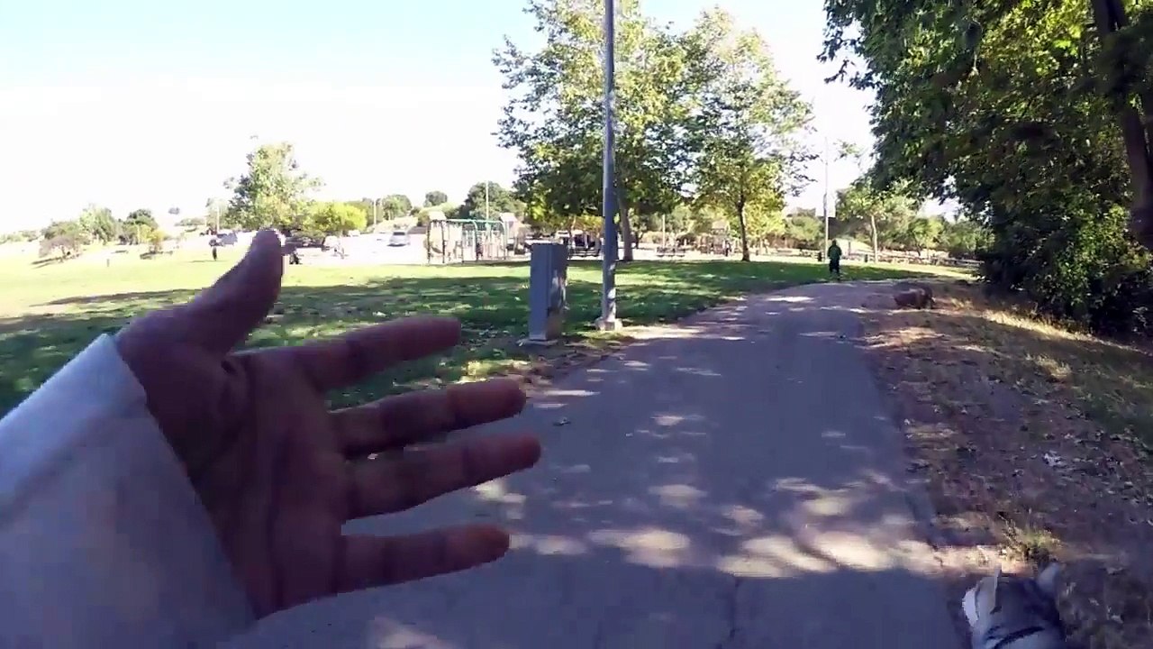 American PitBull Terrier Enters Siberian Huskies territory | Enoy with my PitBull Terrier with DailyGameMentor