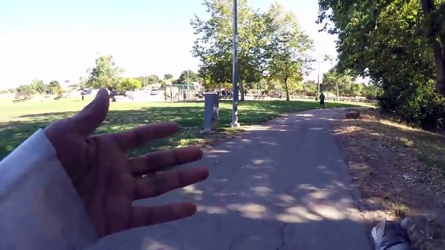 American PitBull Terrier Enters Siberian Huskies territory | Enoy with my PitBull Terrier with DailyGameMentor