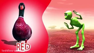 Learn Colors & Learn Animals Name Alien Dance Funny Song for Kids Dame tu Cosita Challenge