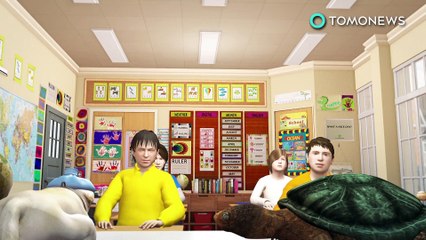 한 교사, 병든 강아지를 거북이에게 먹였다는 혐의로 기소