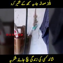 Save life to share this