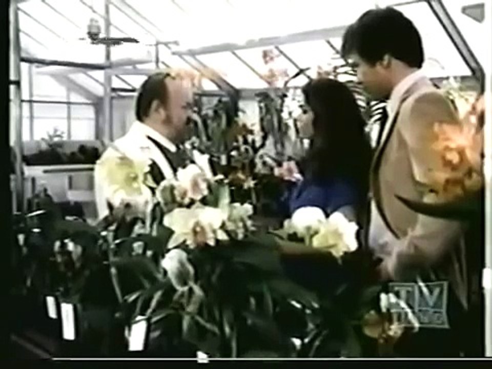Nero Wolfe - Episode 14 - Sweet Revenge