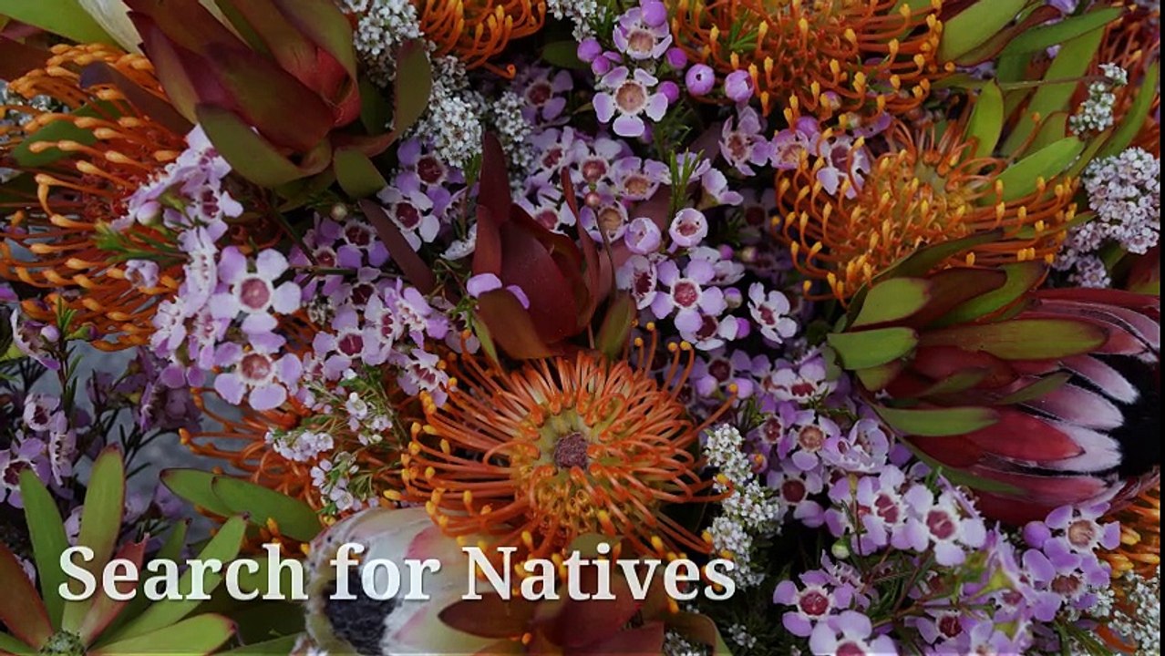 Landscaping Services Calgary | Landscaping Essentials