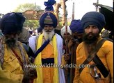 Nihang Singhs at Hola Mohalla festival in Anandpur Sahib