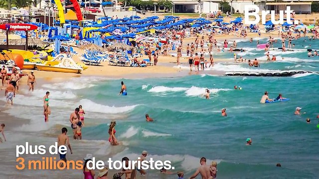 À Chypre, des phoques menacés par la construction d’hôtels de luxe