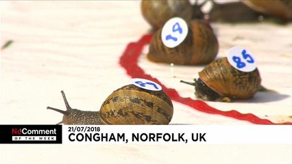 I migliori 'No comment' della settimana