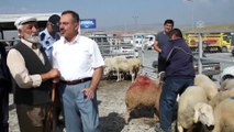 Hayvan pazarında 'kurban' hareketliliği - ANKARA