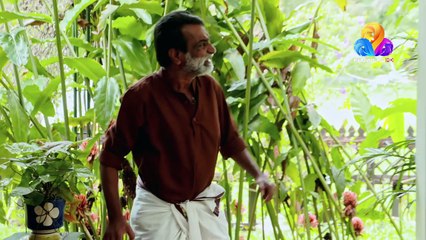 Uppum Mulakum│Flowers│EP# 653  │ 25/jul/2018