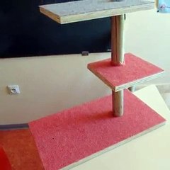 création dun arbre à chat