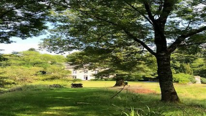 A vendre - Maison/villa - BRANDIVY (56390) - 14 pièces - 390m²