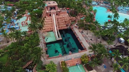 Roman AtwoodÔÇÖs Day Dreams - s 1 e 4 - 5 Years Cancer Free!!