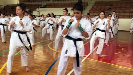 Wushu Budokaido Kyokushin milli takımı Hatay’da kampa girdi - HATAY