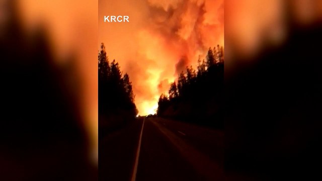 Californie : les incendies détruisent des dizaines de milliers d'hectares de forêt