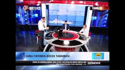 BÖCEK ARAMA - BÖCEK TARAMA