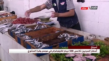 Algérie : Les prix de la sardine atteignent 500 dinars par kilogramme dans la saison d'abondance des produits