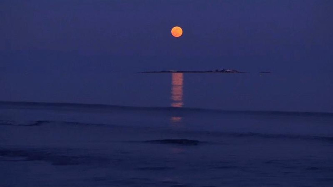 Warten auf den Blutmond