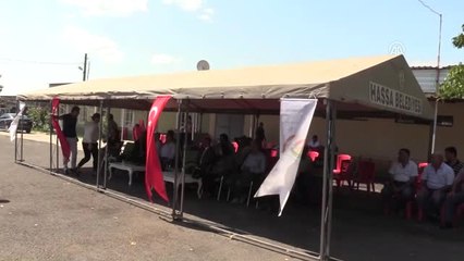 Hassa'da 80 Damızlık Koç Dağıtıldı