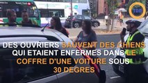 Des ouvriers sauvent des chiens enfermés dans un coffre de voiture sous 30°C