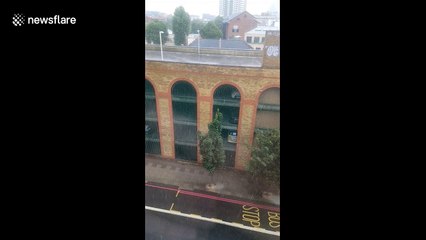 Londoners dance in rain after heavens open