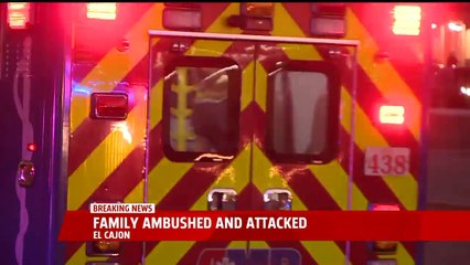 Elderly Man Stabbed While Walking WIth Daughter, Grandchildren