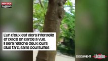 Affaire Benalla : Trois heures avant, il frappait d'autres manifestants (Vidéo)