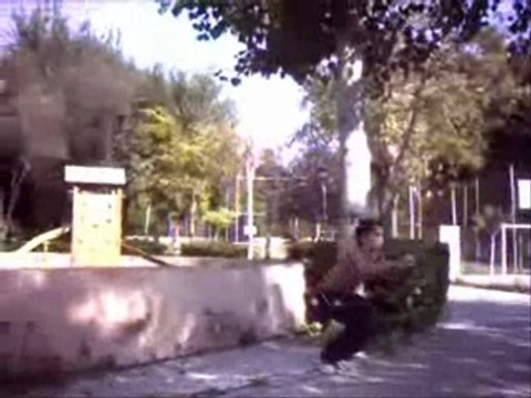 MINI SAMPLER GULI 2007