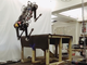 BLIND ROBOT? New galloping robot can climb without being able to see - ABC15 Digital