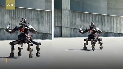 A new Four legged robot model is launched in Genoa, Italy