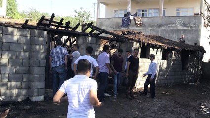 Ahır yangınında 140 koyun telef oldu - SİİRT