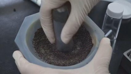 Coffee waste could help power future batteries