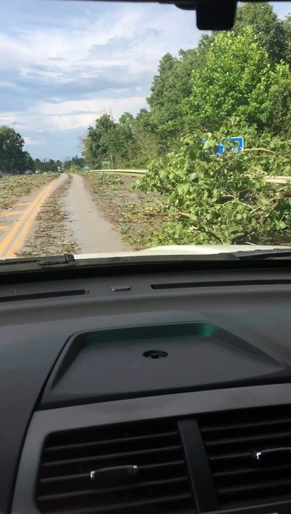 Fallen Trees and Debris Litter Road After Storm