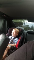 Little Boy Loves Going Fast