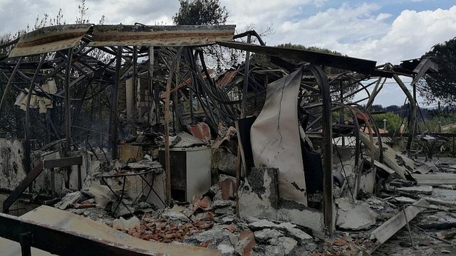 Греки ищут виновников трагедии