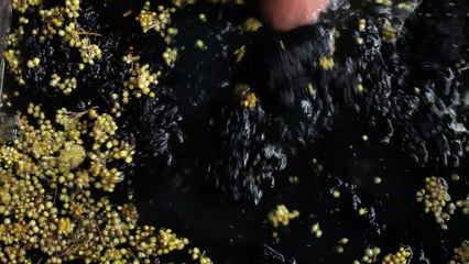 MEGERIAN RUG GALLERY & MEGERIAN RUG CLEANERS - Armenian Rug Creation