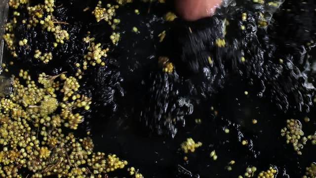 MEGERIAN RUG GALLERY & MEGERIAN RUG CLEANERS - Armenian Rug Creation