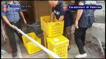 Palermo. monete da 1 e 2 euro coniate in Cina, 12 arresti sequestrato un intero container